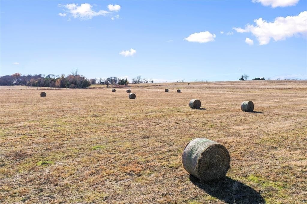 121.5 acres in Lamar County - photo 17