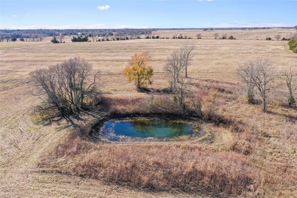 121.5 acres in Lamar County - photo 11