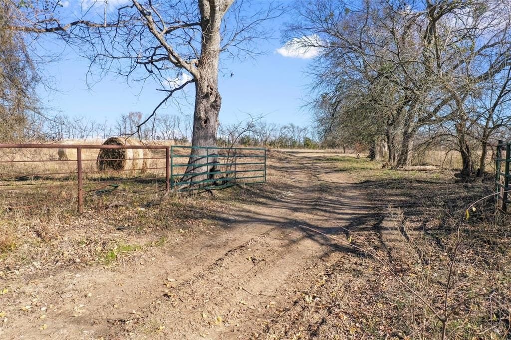 121.5 acres in Lamar County - photo 19