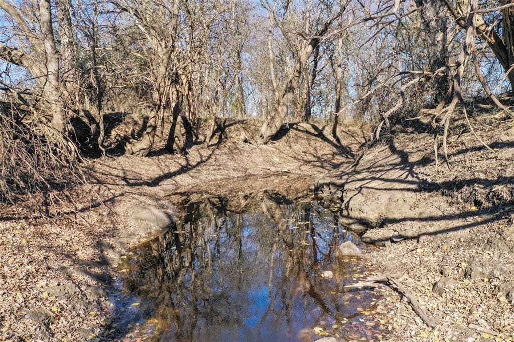 121.5 acres in Lamar County - photo 18