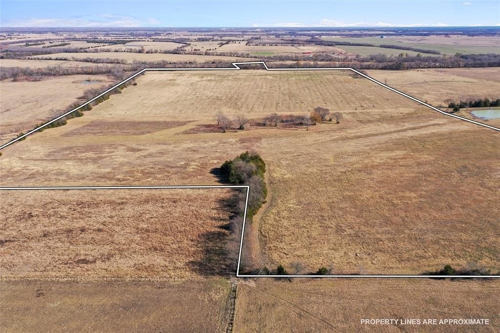 121.5 acres in Lamar County - photo 5