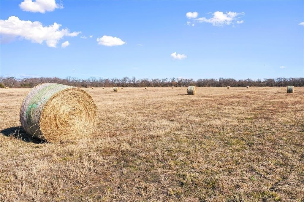 121.5 acres in Lamar County - photo 9
