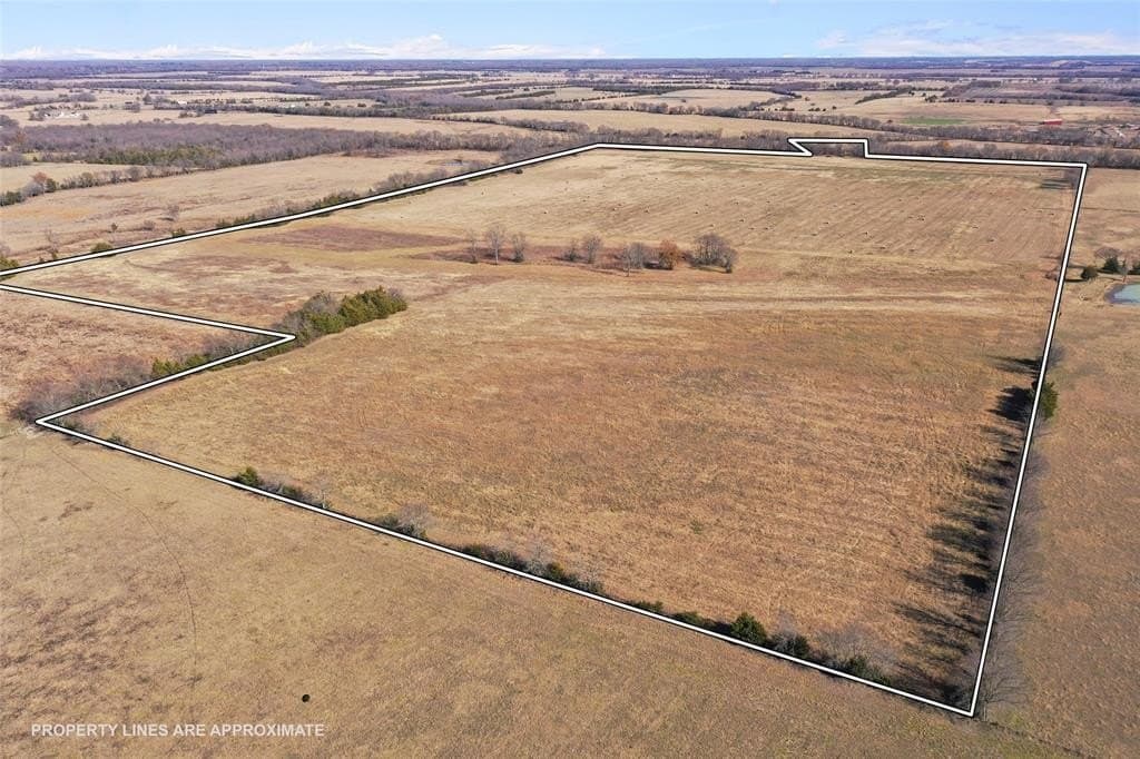 121.5 acres in Lamar County - photo 6