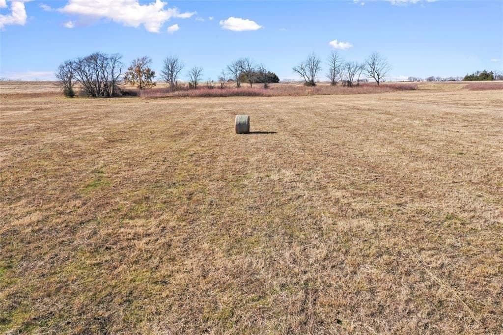 121.5 acres in Lamar County - photo 16