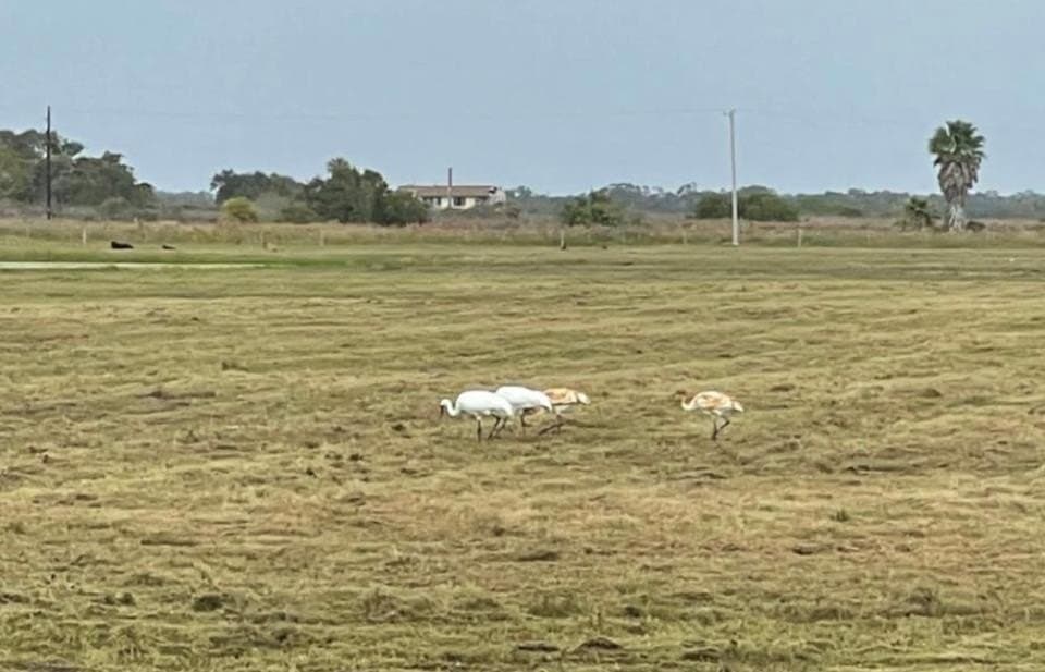 0 acres in Aransas County - photo 6
