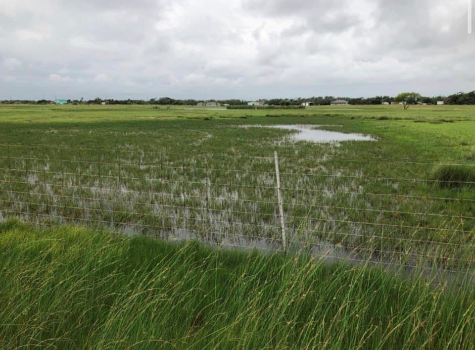 0 acres in Aransas County - photo 14
