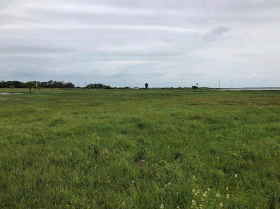0 acres in Aransas County - photo 18