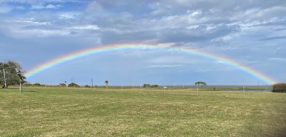 0 acres in Aransas County - photo 5