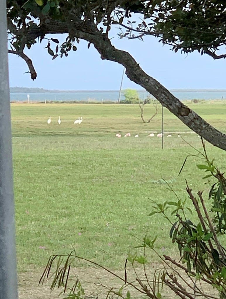 0 acres in Aransas County - photo 4