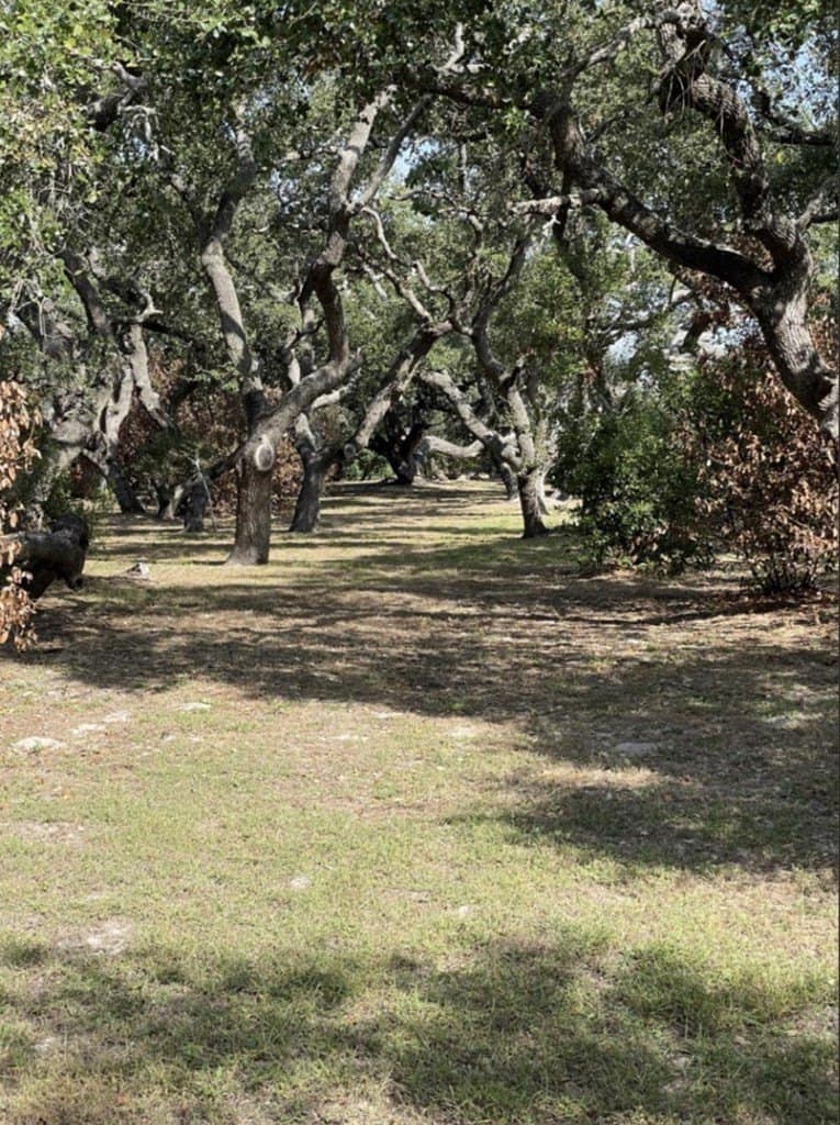 0 acres in Aransas County - photo 28
