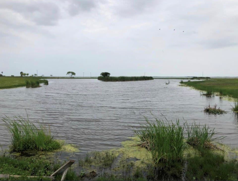 0 acres in Aransas County - photo 20