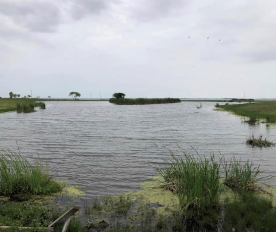 0 acres in Aransas County - photo 29