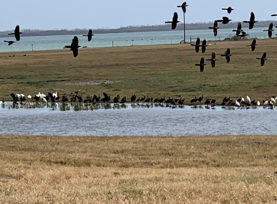 0 acres in Aransas County - photo 23