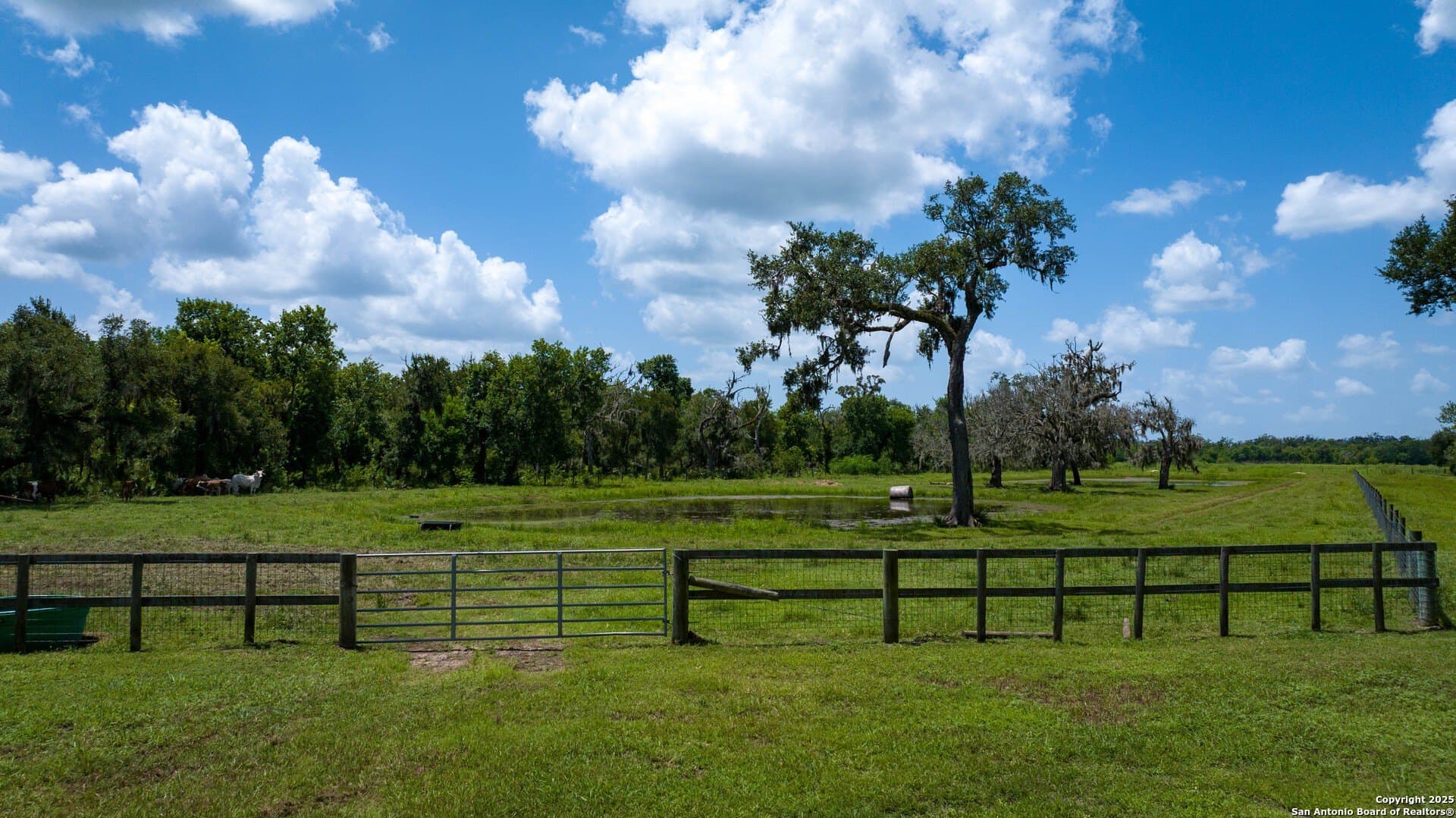 79.41 acres in Brazoria County - photo 21