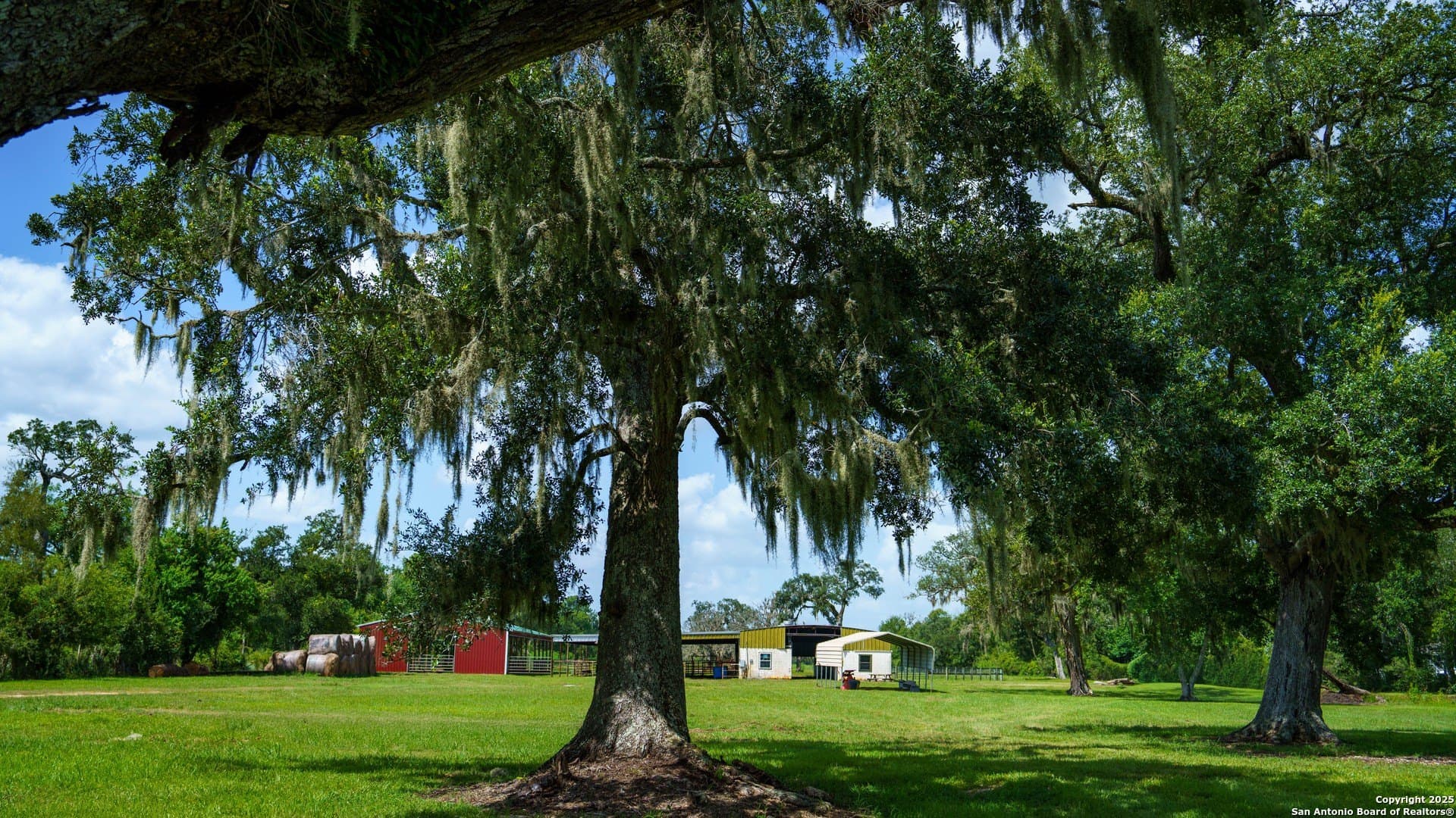 79.41 acres in Brazoria County - photo 11