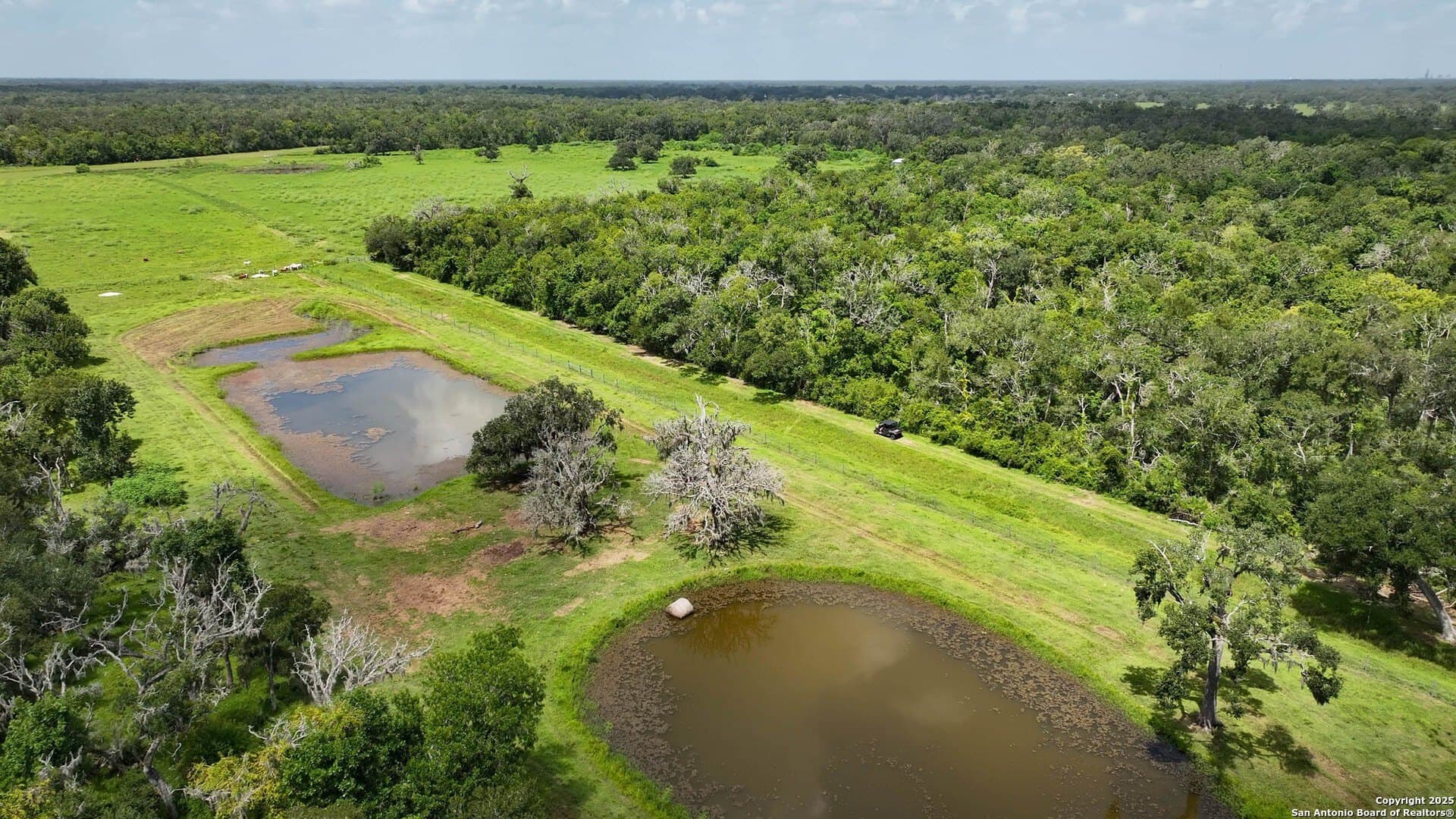 79.41 acres in Brazoria County - photo 26