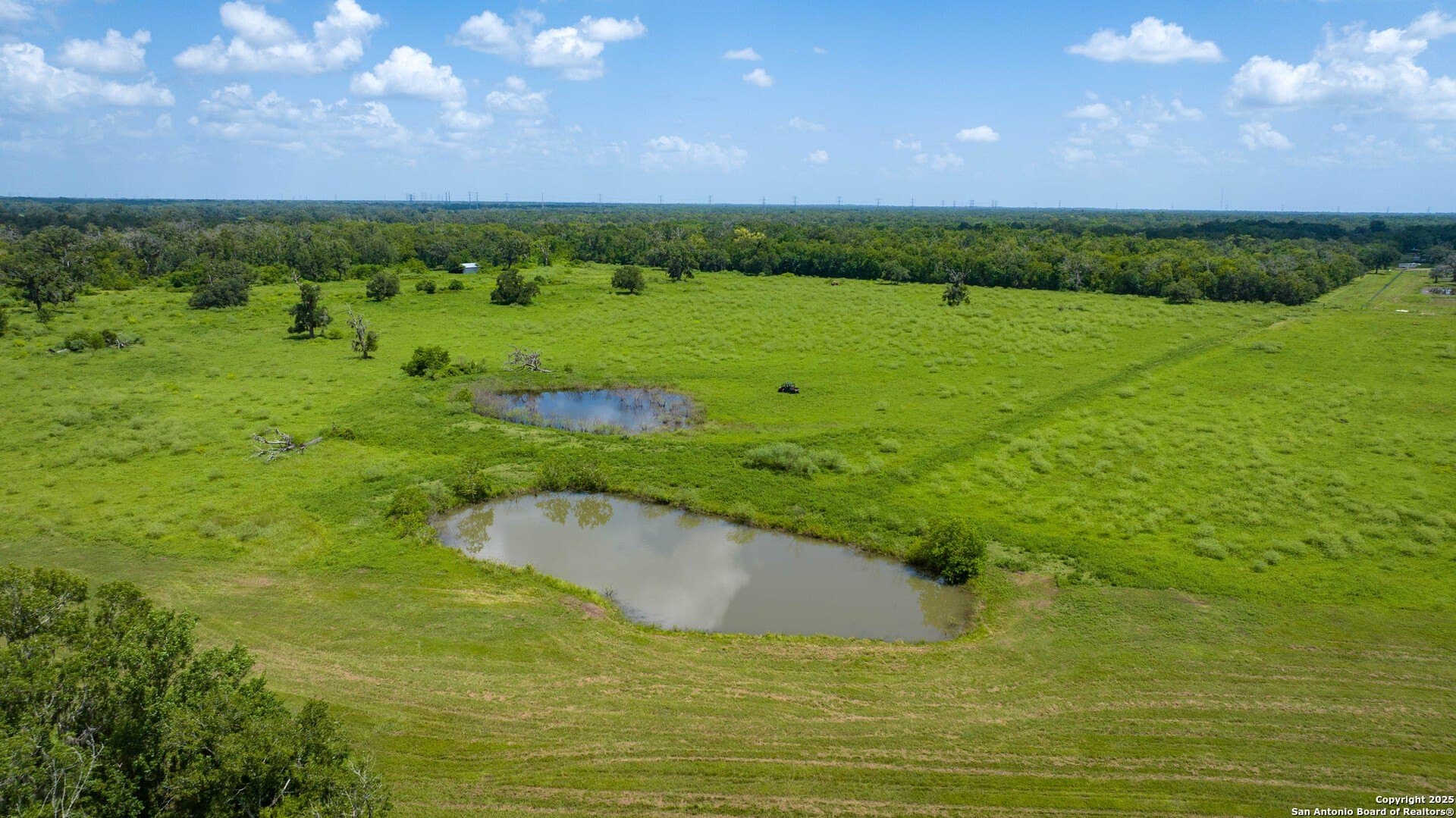 79.41 acres in Brazoria County - photo 4