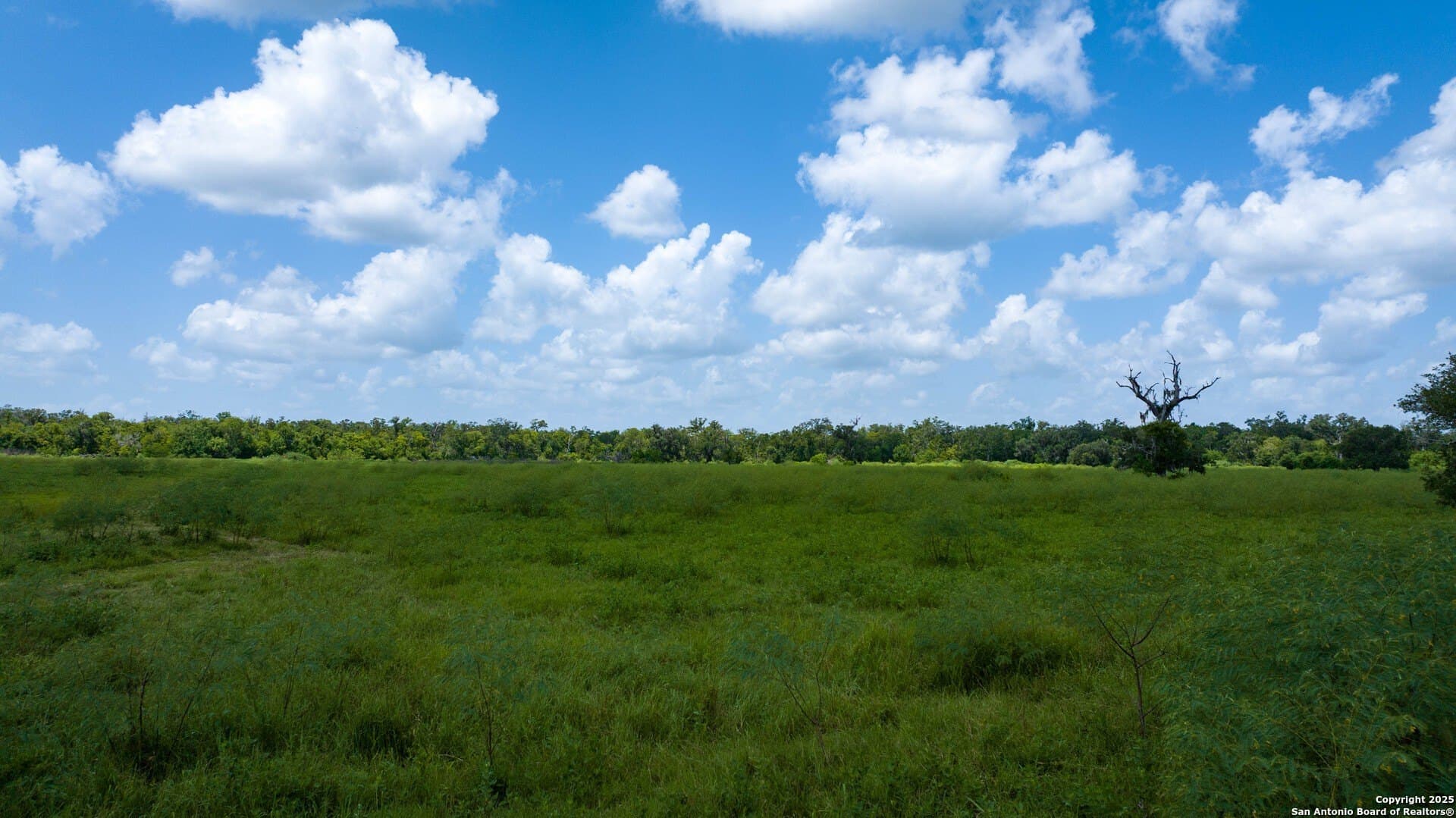 79.41 acres in Brazoria County - photo 37
