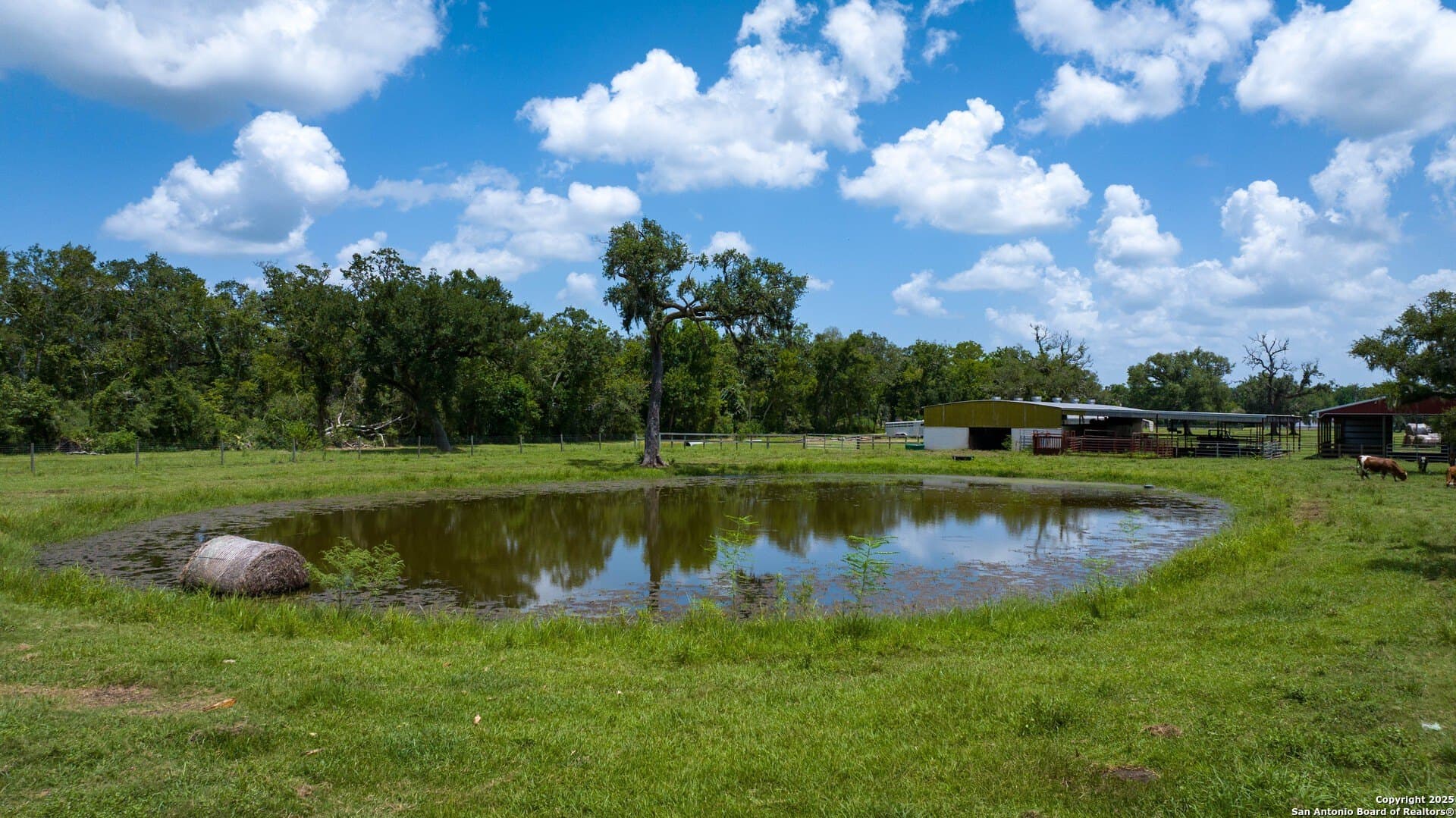 79.41 acres in Brazoria County - photo 24