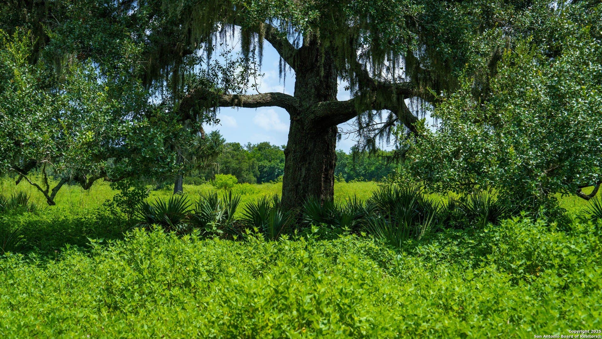 79.41 acres in Brazoria County - photo 41