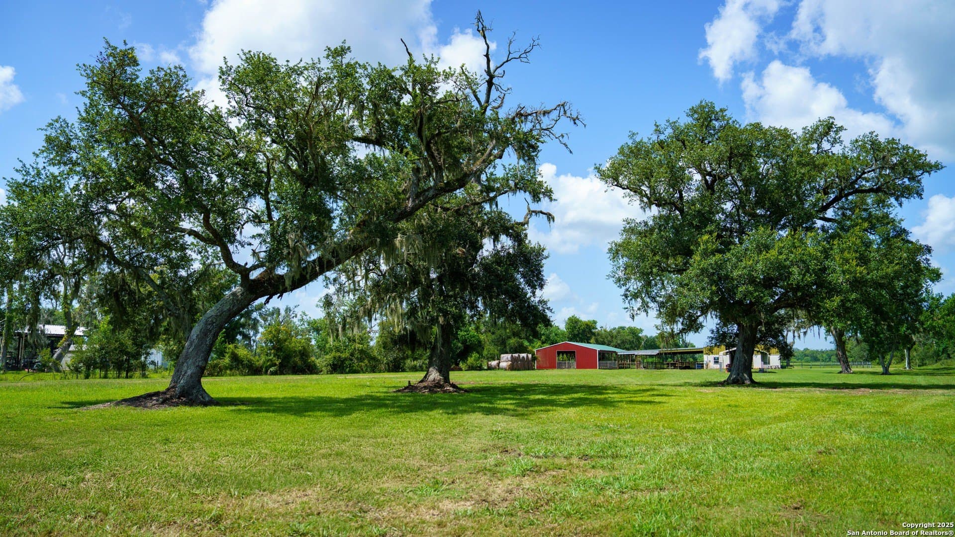 79.41 acres in Brazoria County - photo 7