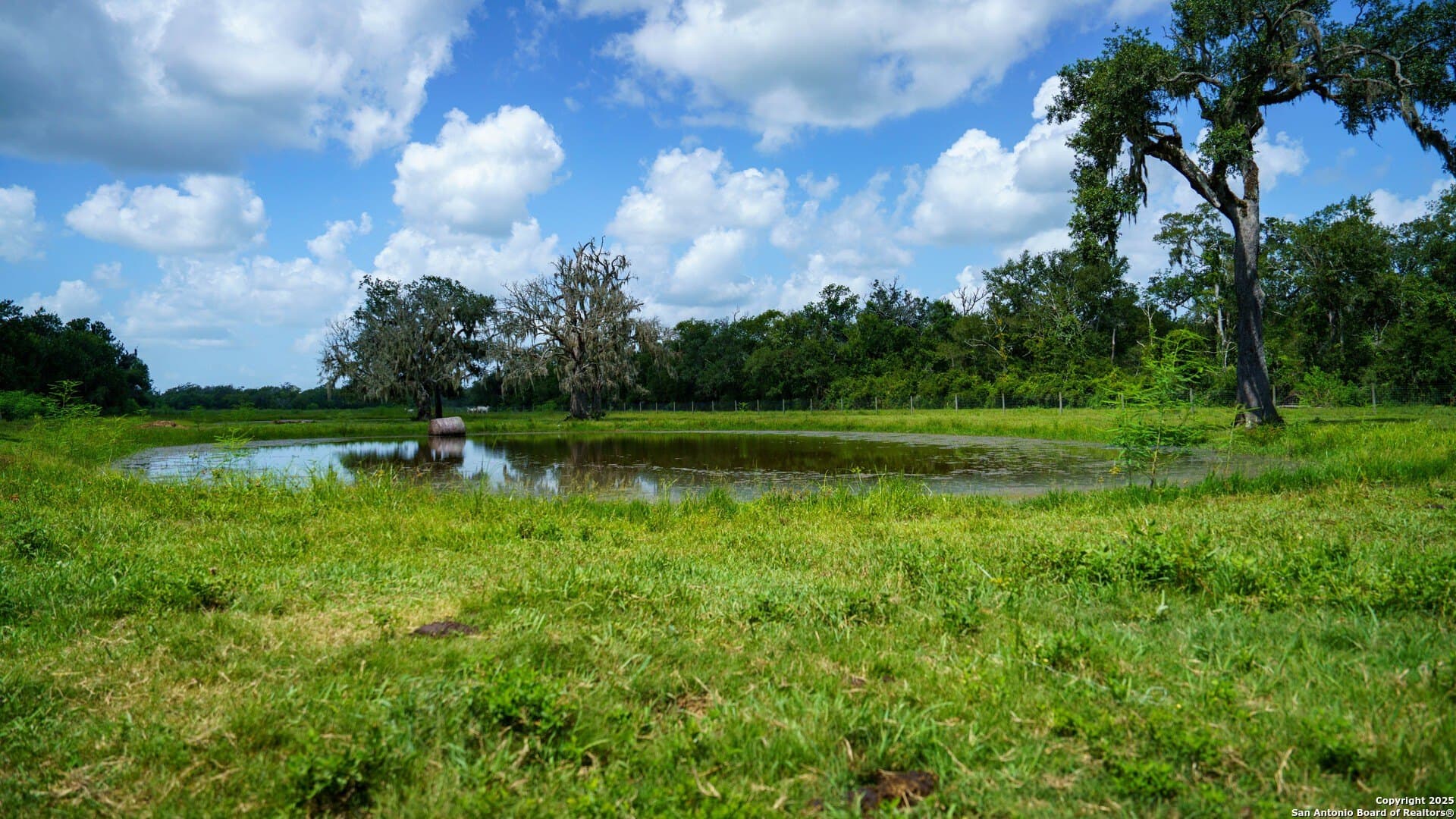 79.41 acres in Brazoria County - photo 29