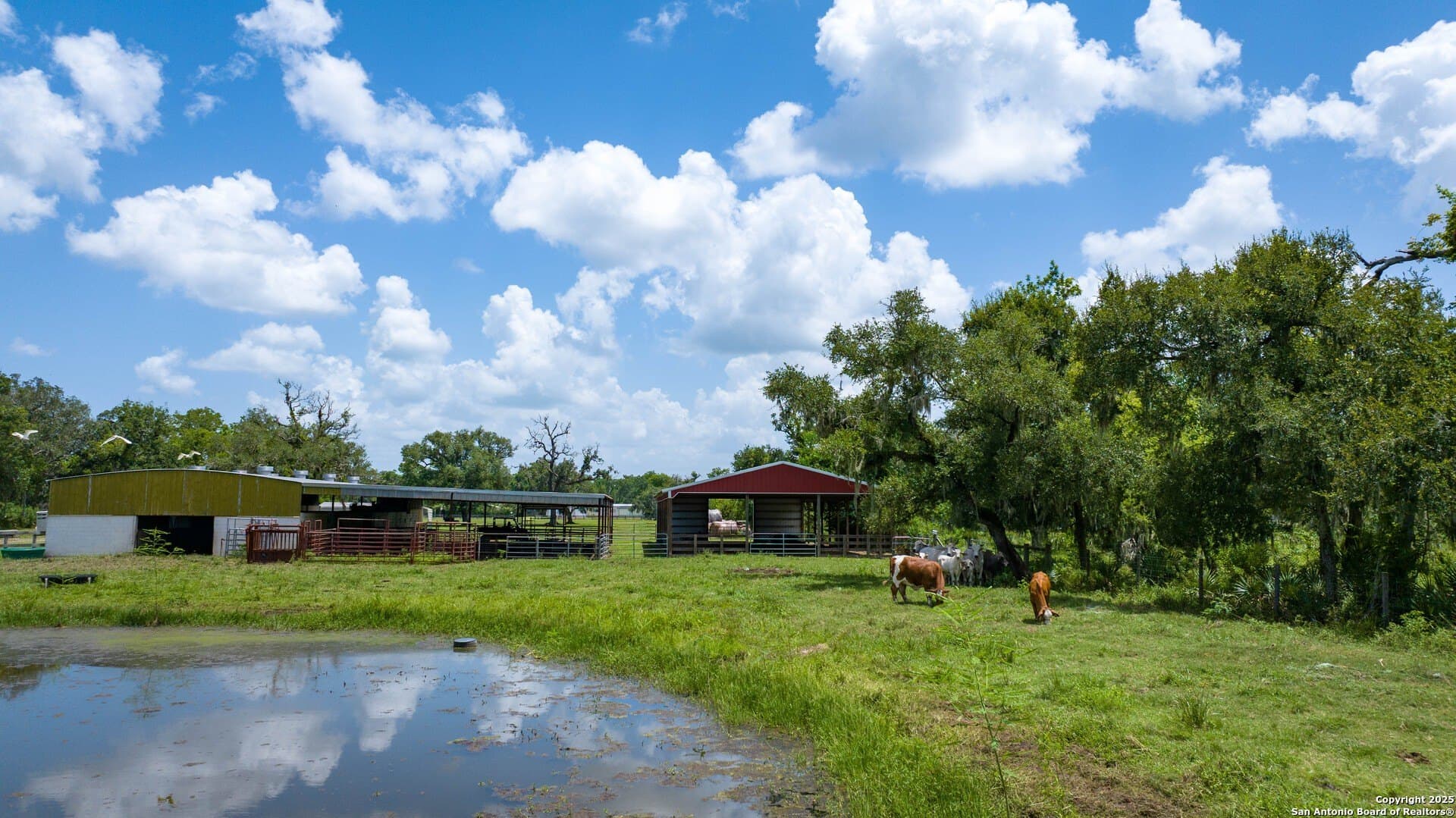 79.41 acres in Brazoria County - photo 20