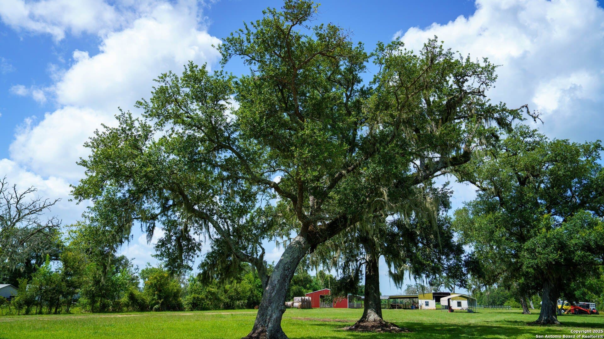 79.41 acres in Brazoria County - photo 10