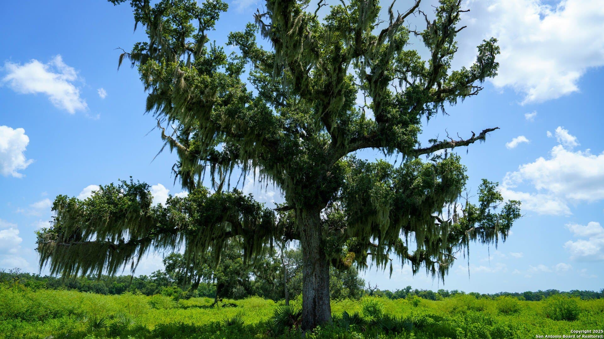 79.41 acres in Brazoria County - photo 46