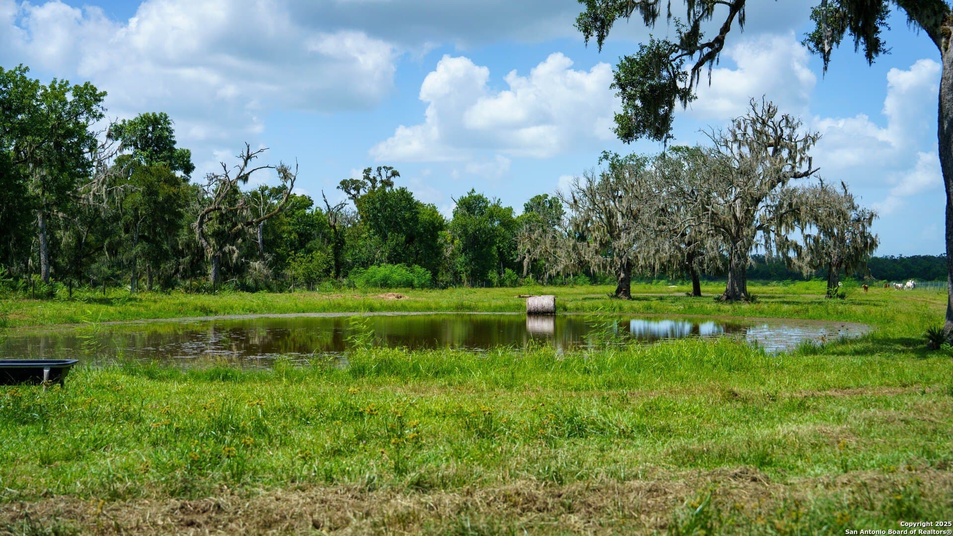 79.41 acres in Brazoria County - photo 3