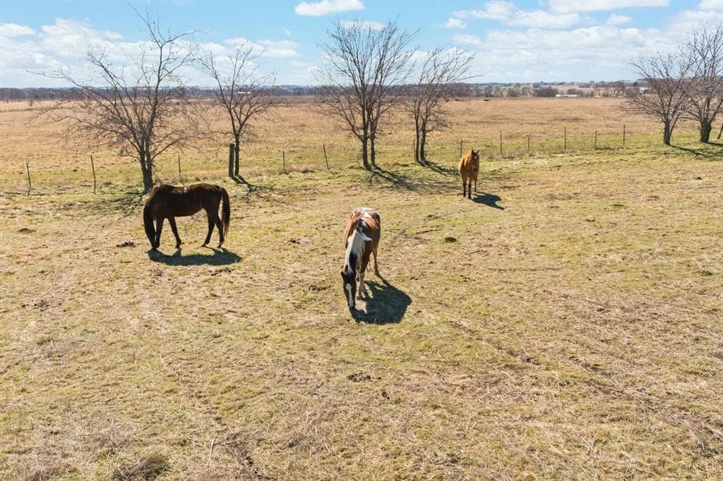 82.65 acres in Johnson County - photo 11