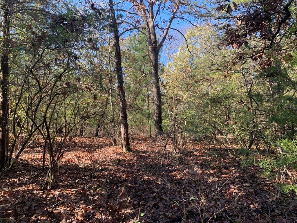 1.13 acres in Henderson County - photo 5