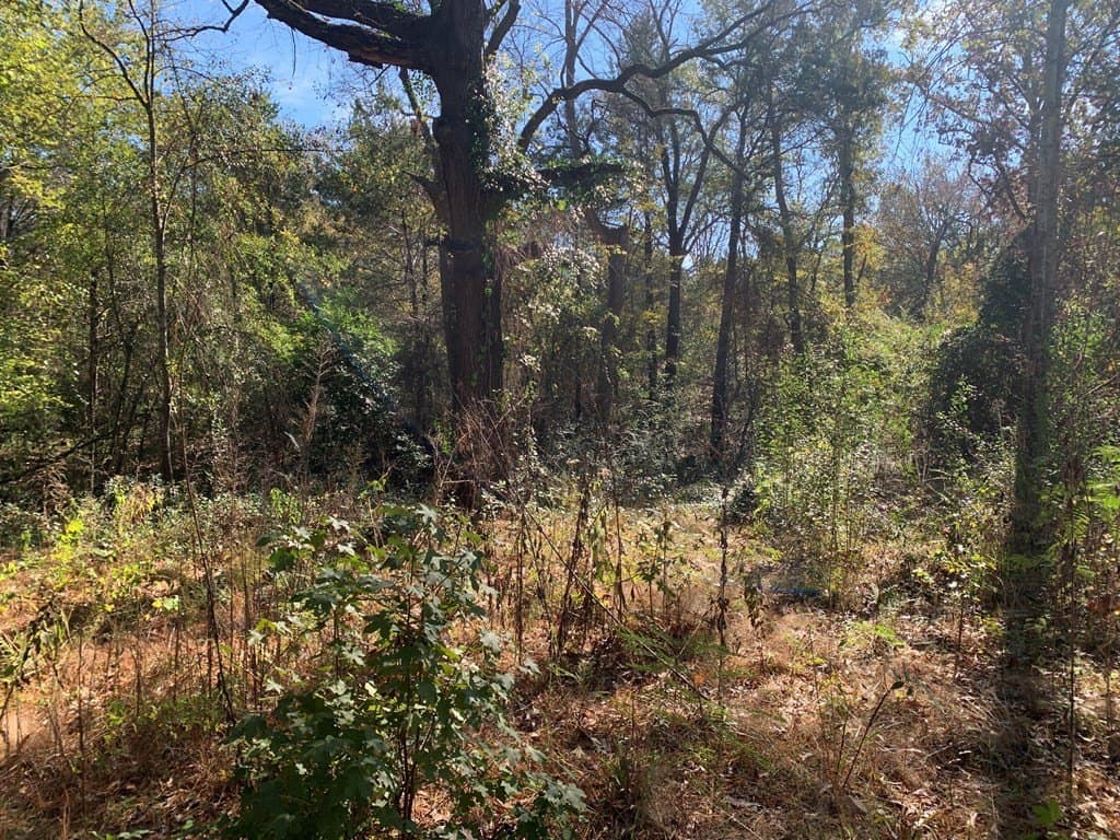 1.13 acres in Henderson County - photo 9