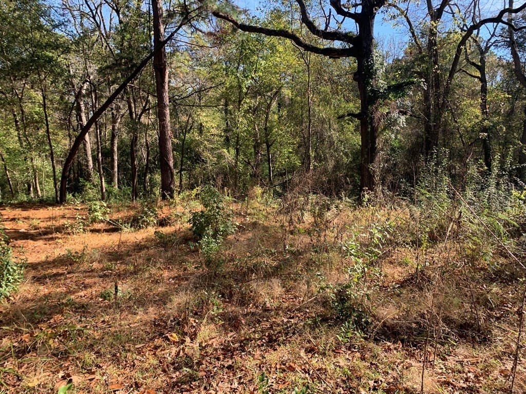 1.13 acres in Henderson County - photo 8