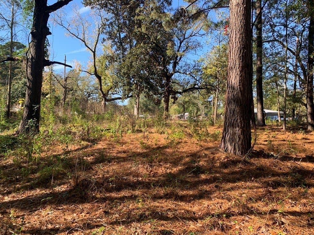 1.13 acres in Henderson County - photo 4