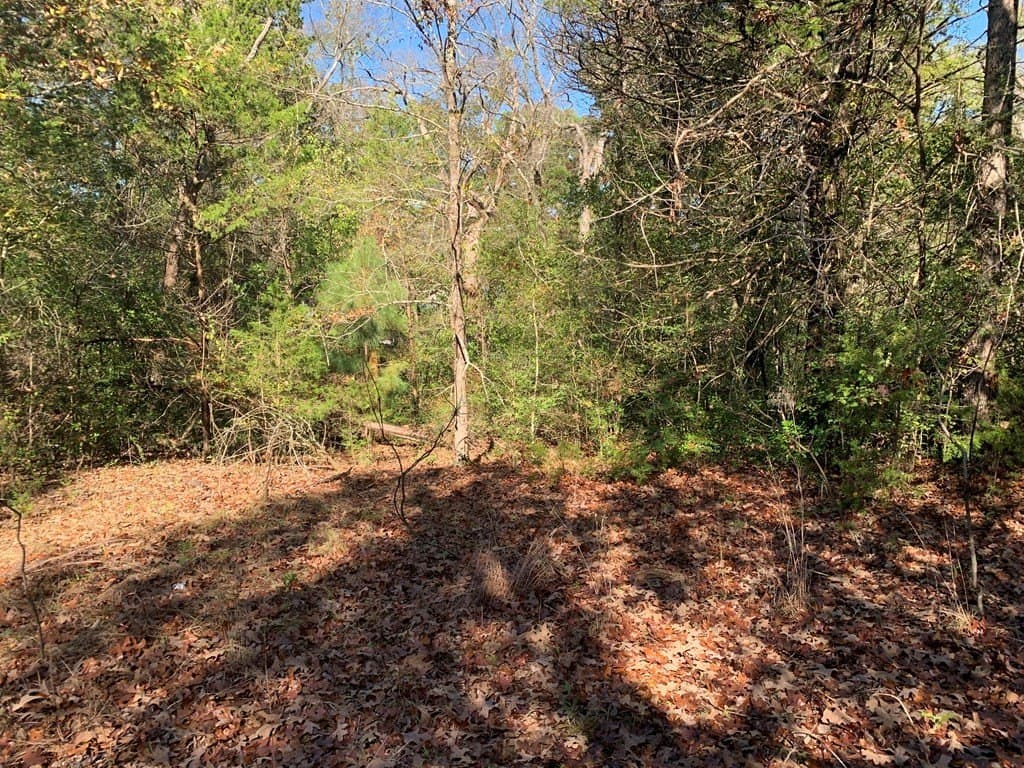 1.13 acres in Henderson County - photo 10