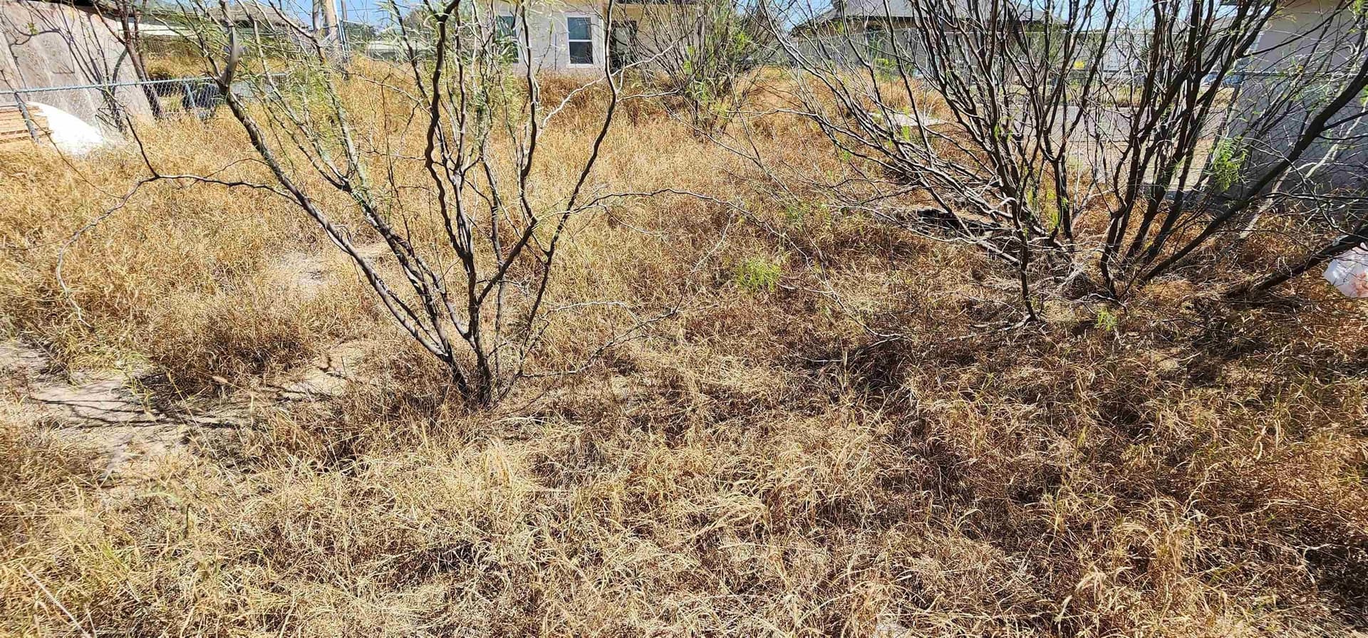 0.11 acres in Webb County - photo 6