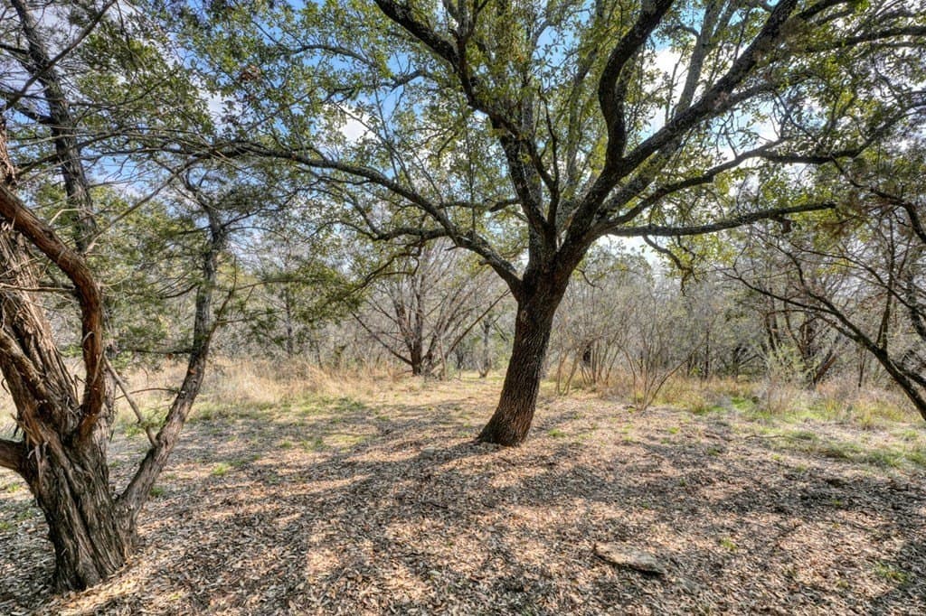 10.05 acres in Burnet County - photo 9