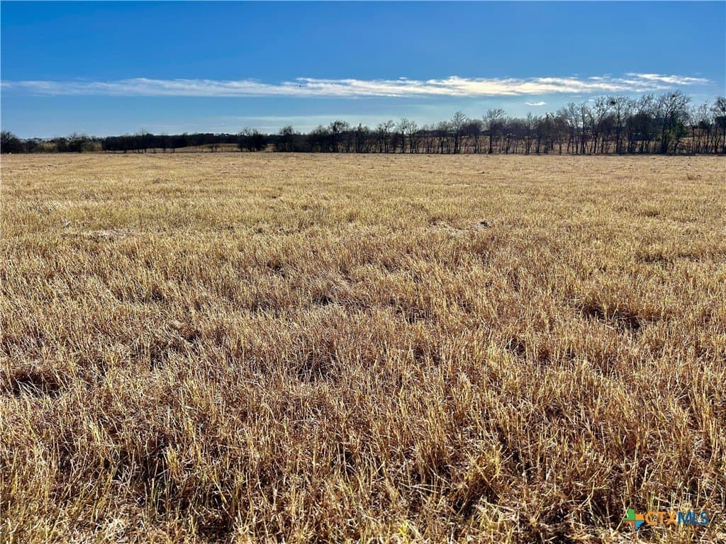 1.57 acres in Bell County - photo 5