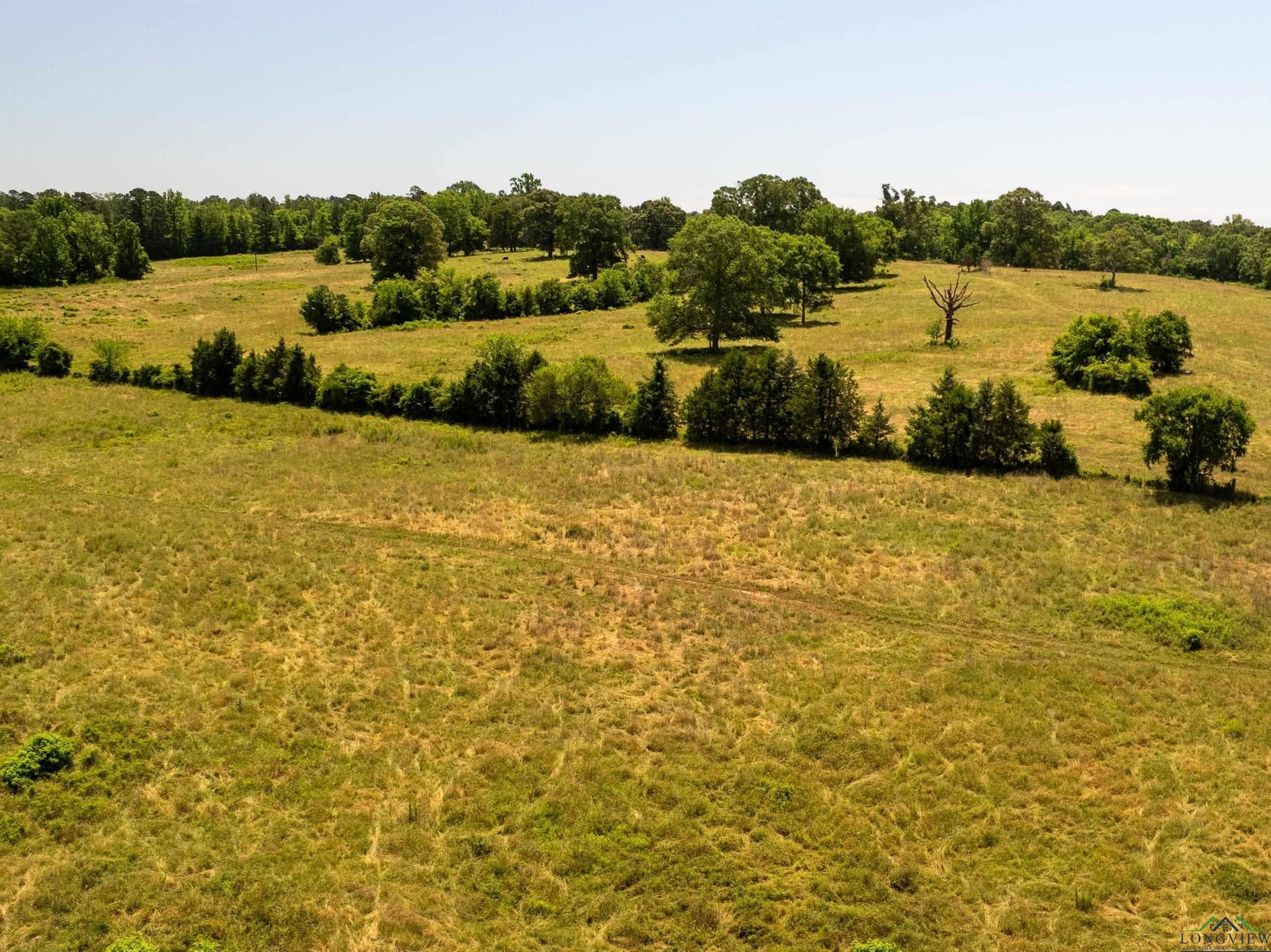 472.49 acres in Cass County - photo 45