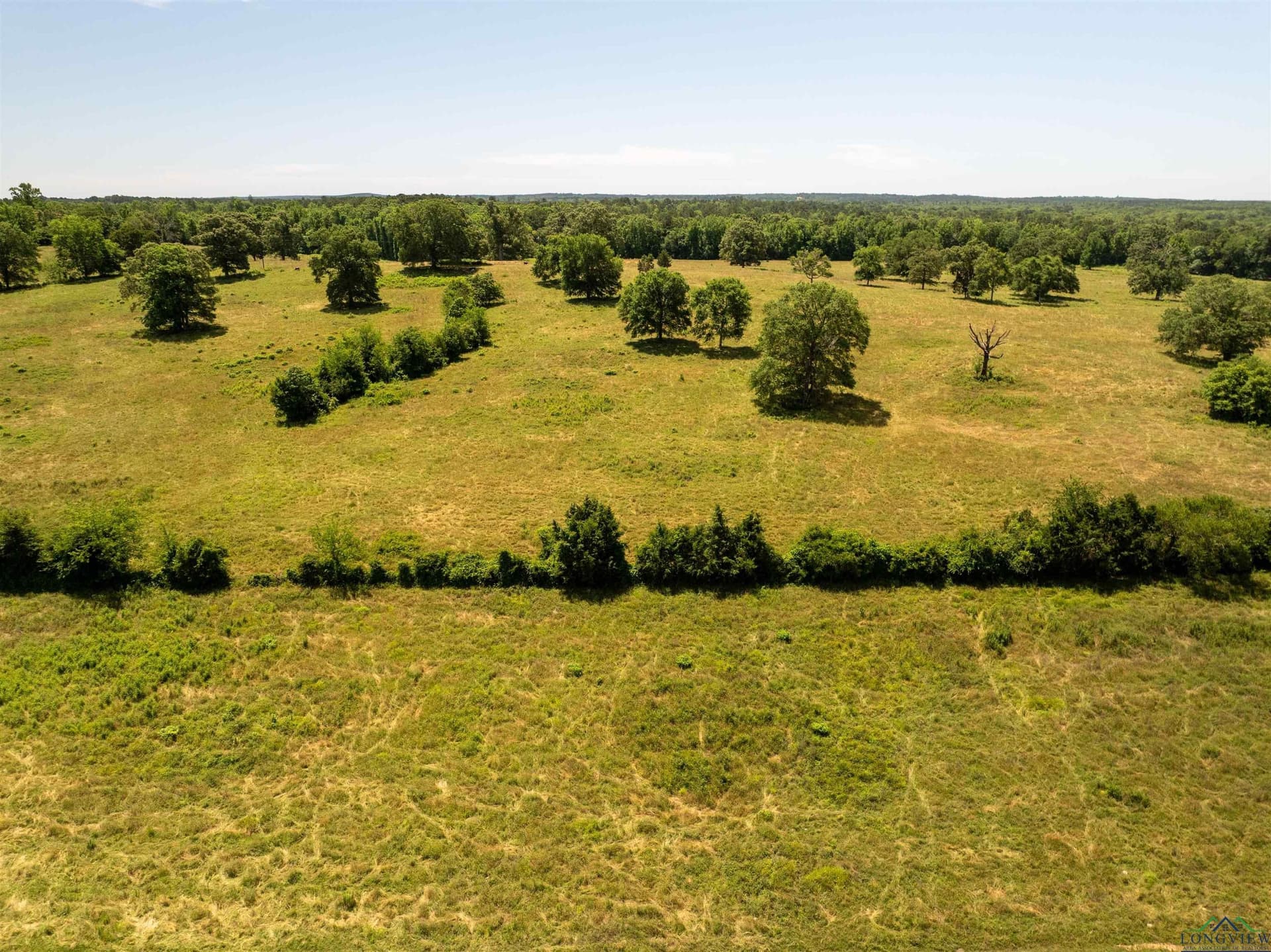 472.49 acres in Cass County - photo 46