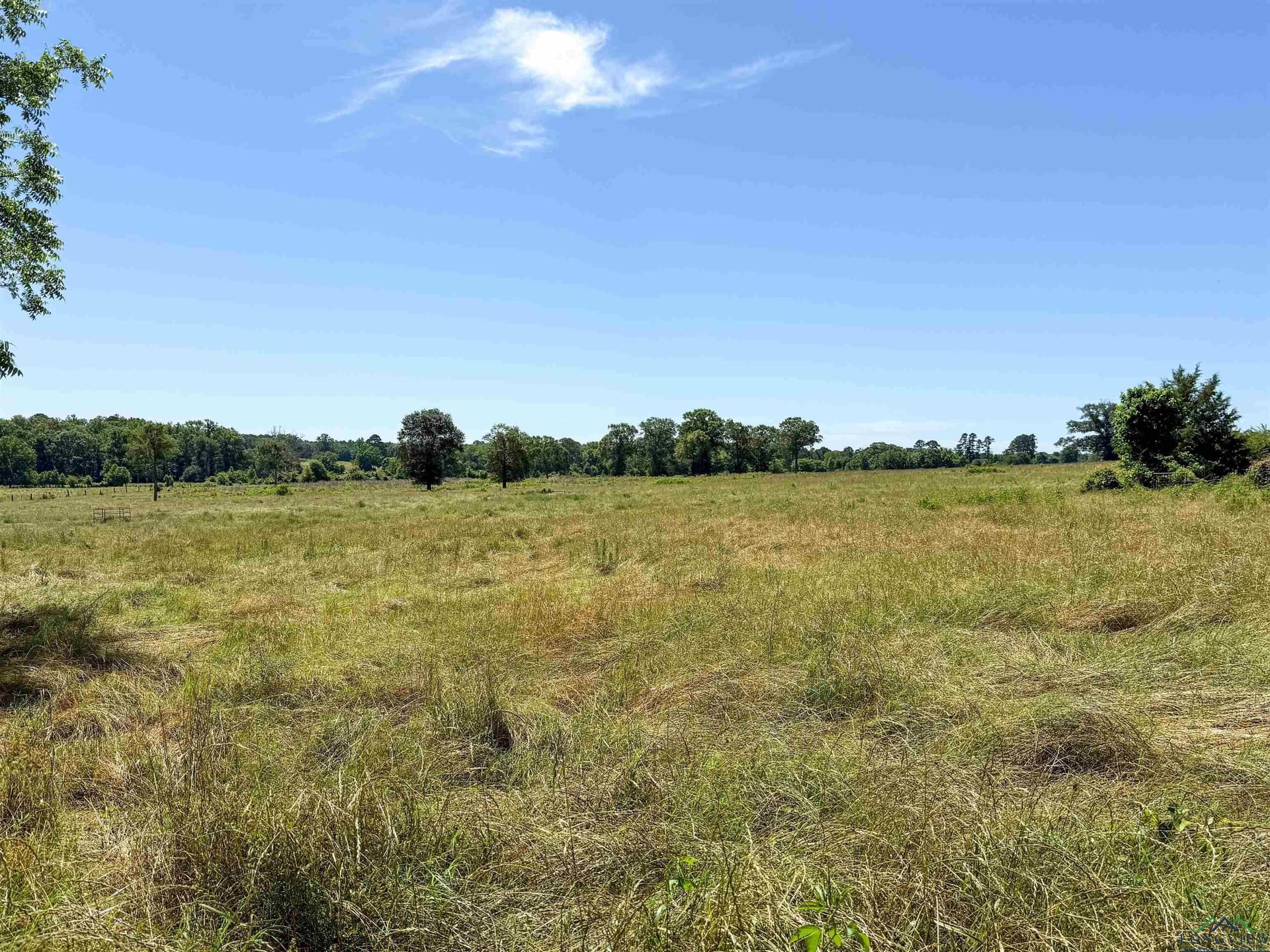 472.49 acres in Cass County - photo 31