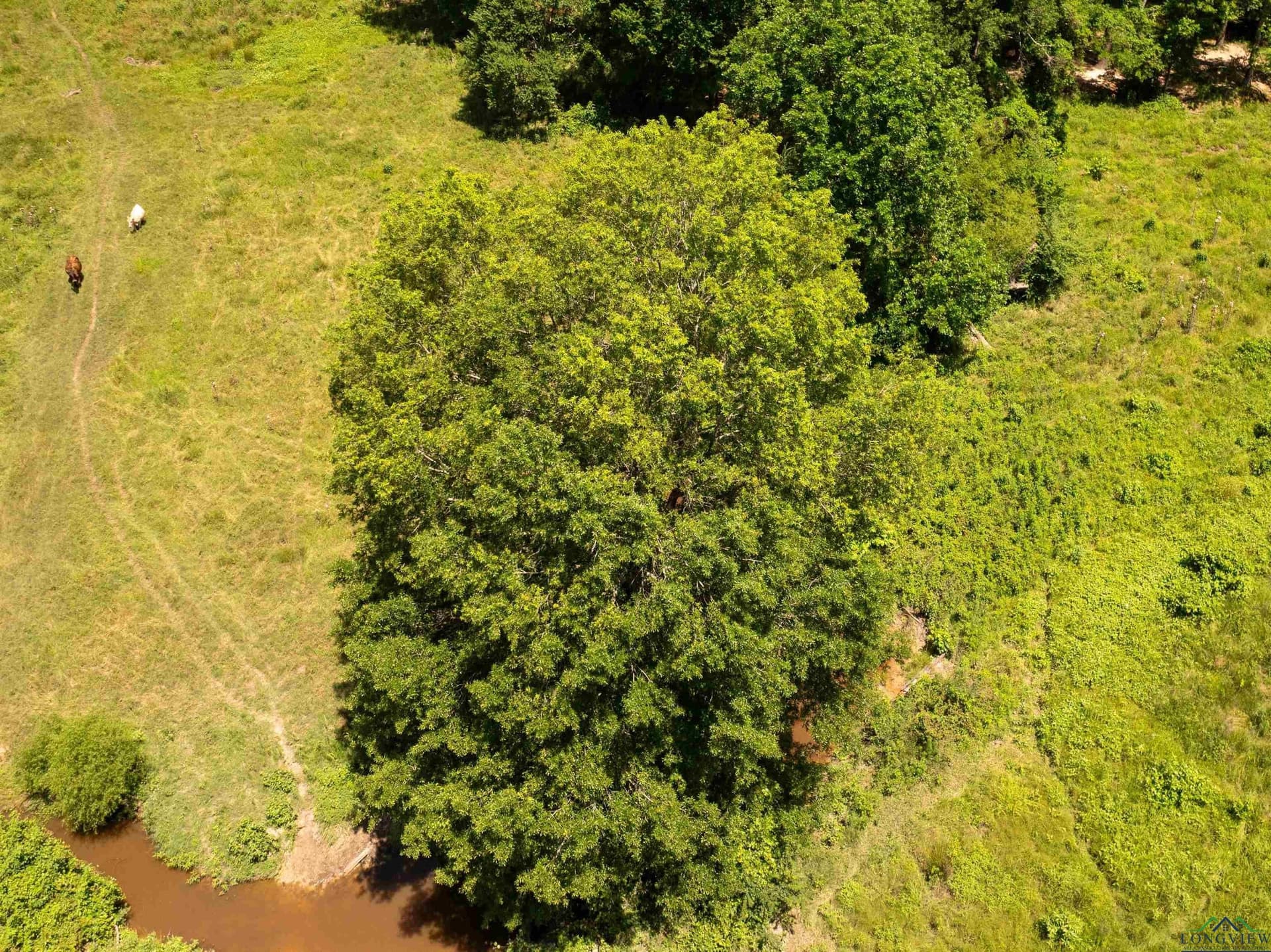 472.49 acres in Cass County - photo 42