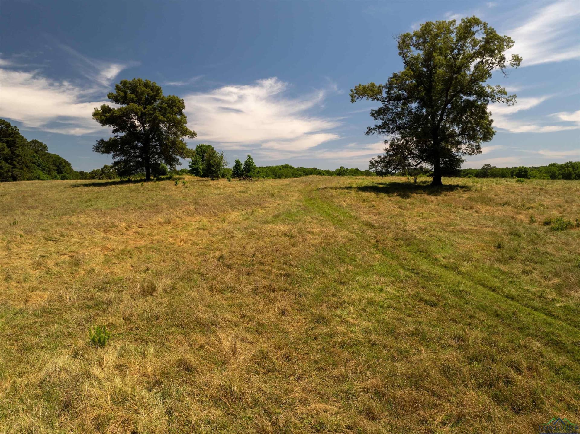 472.49 acres in Cass County - photo 36