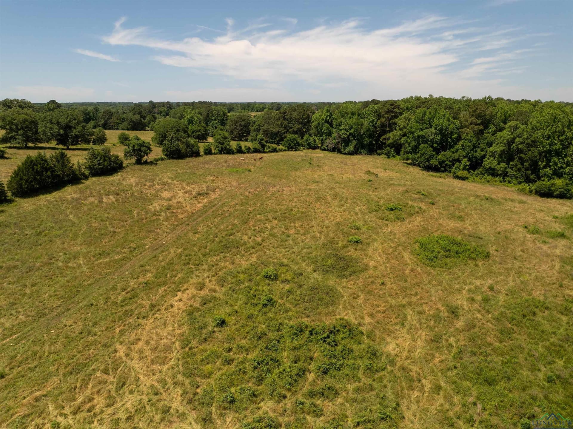 472.49 acres in Cass County - photo 48