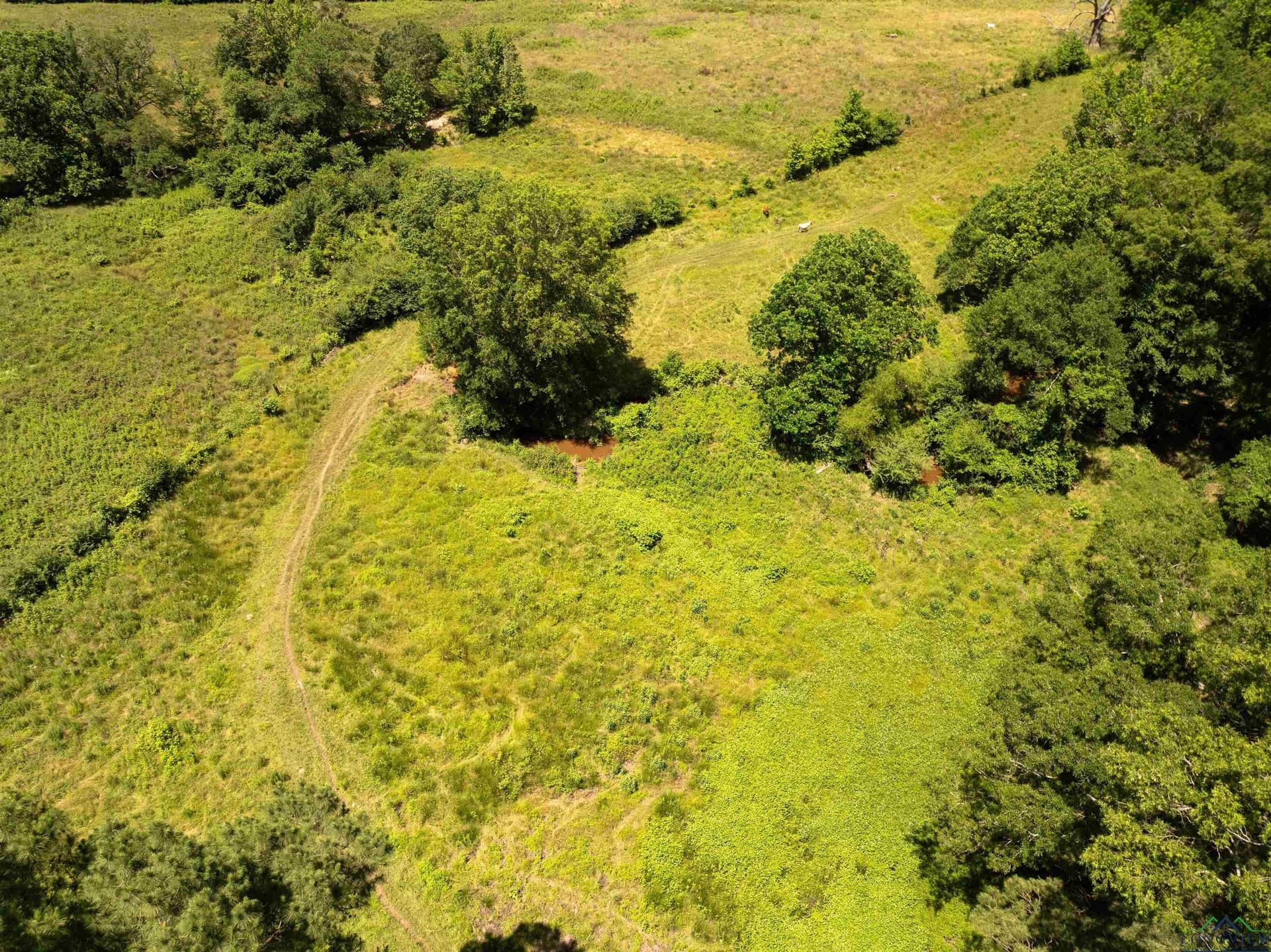 472.49 acres in Cass County - photo 41