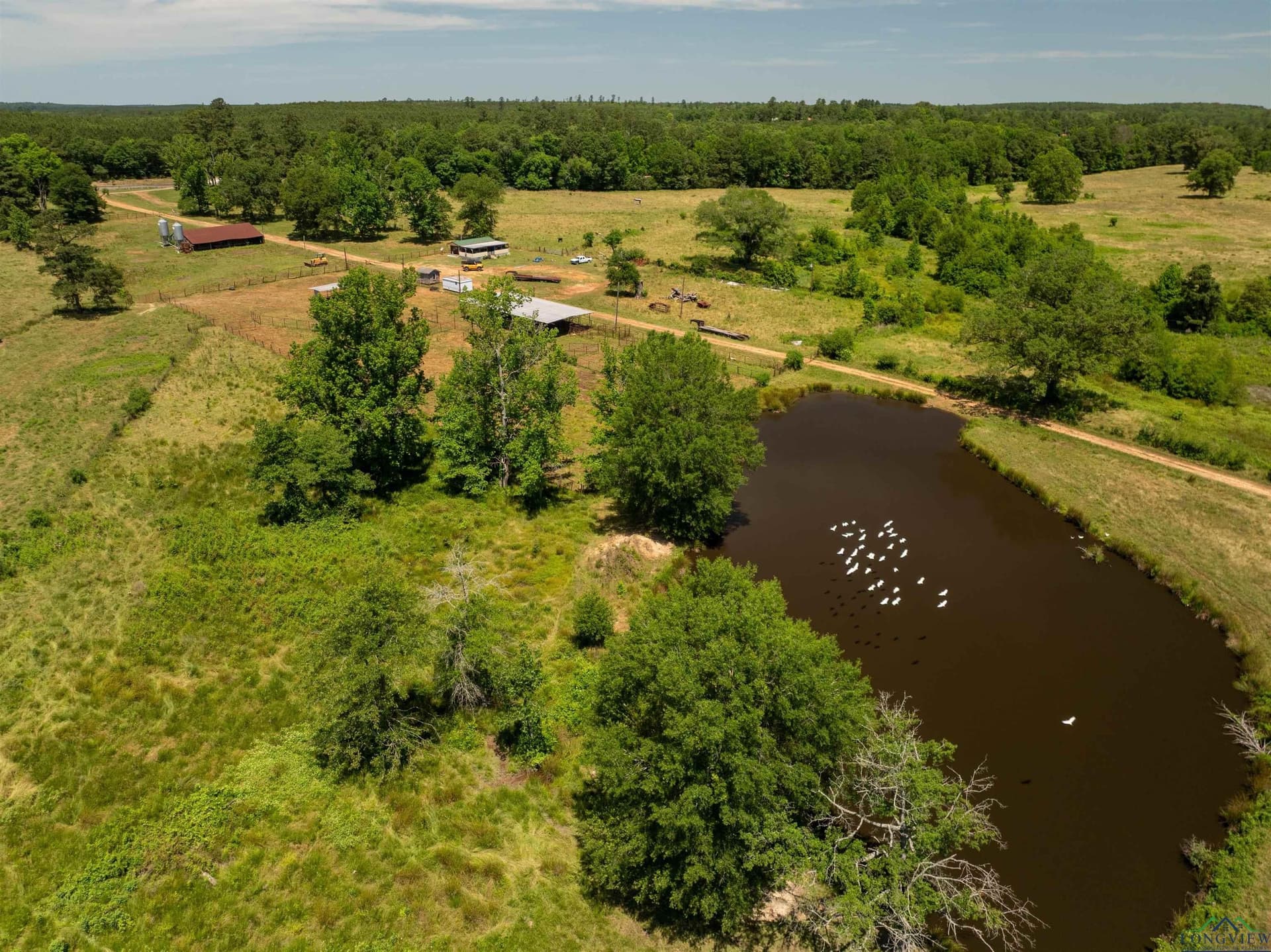 472.49 acres in Cass County - photo 26