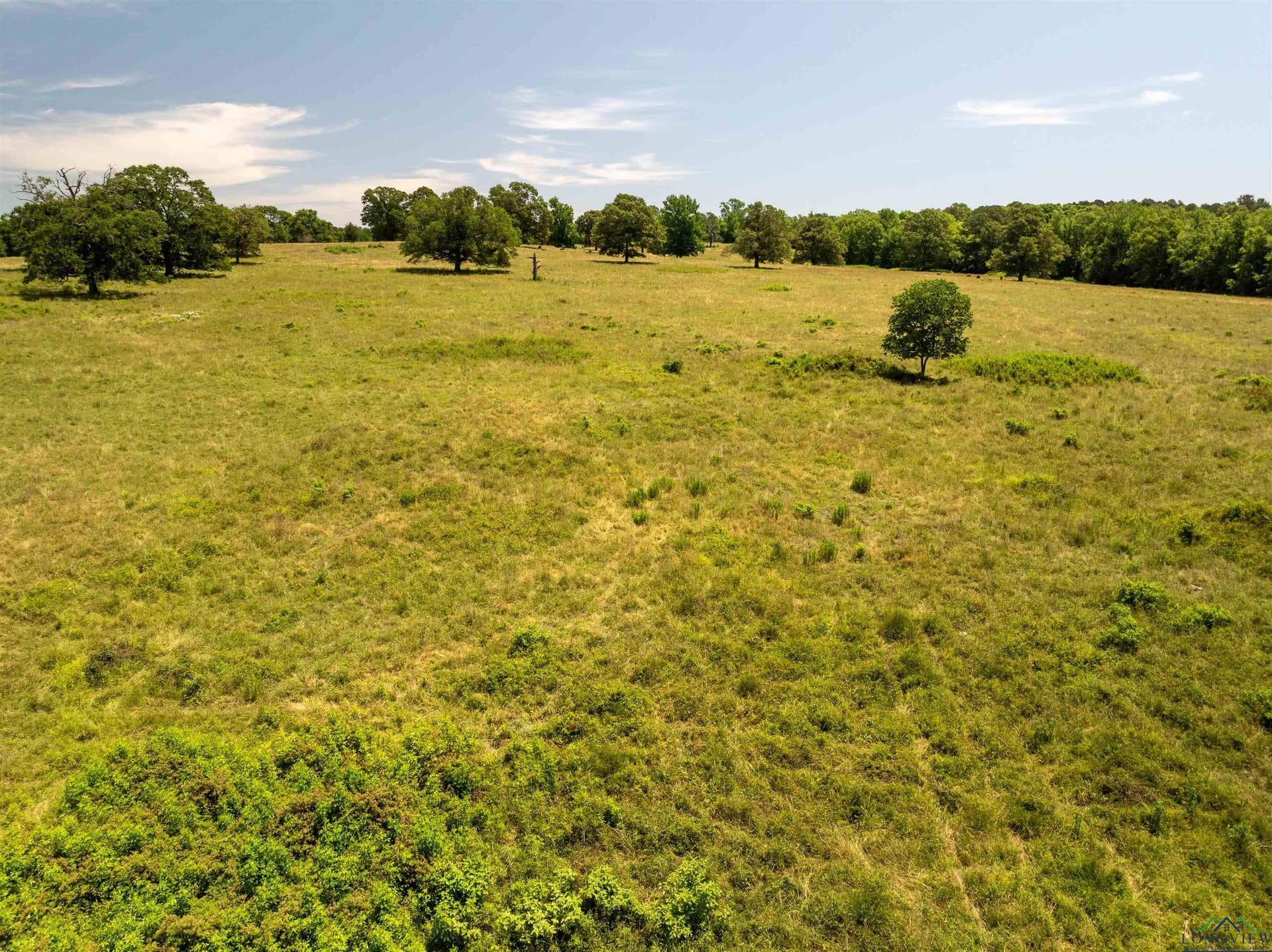 472.49 acres in Cass County - photo 49