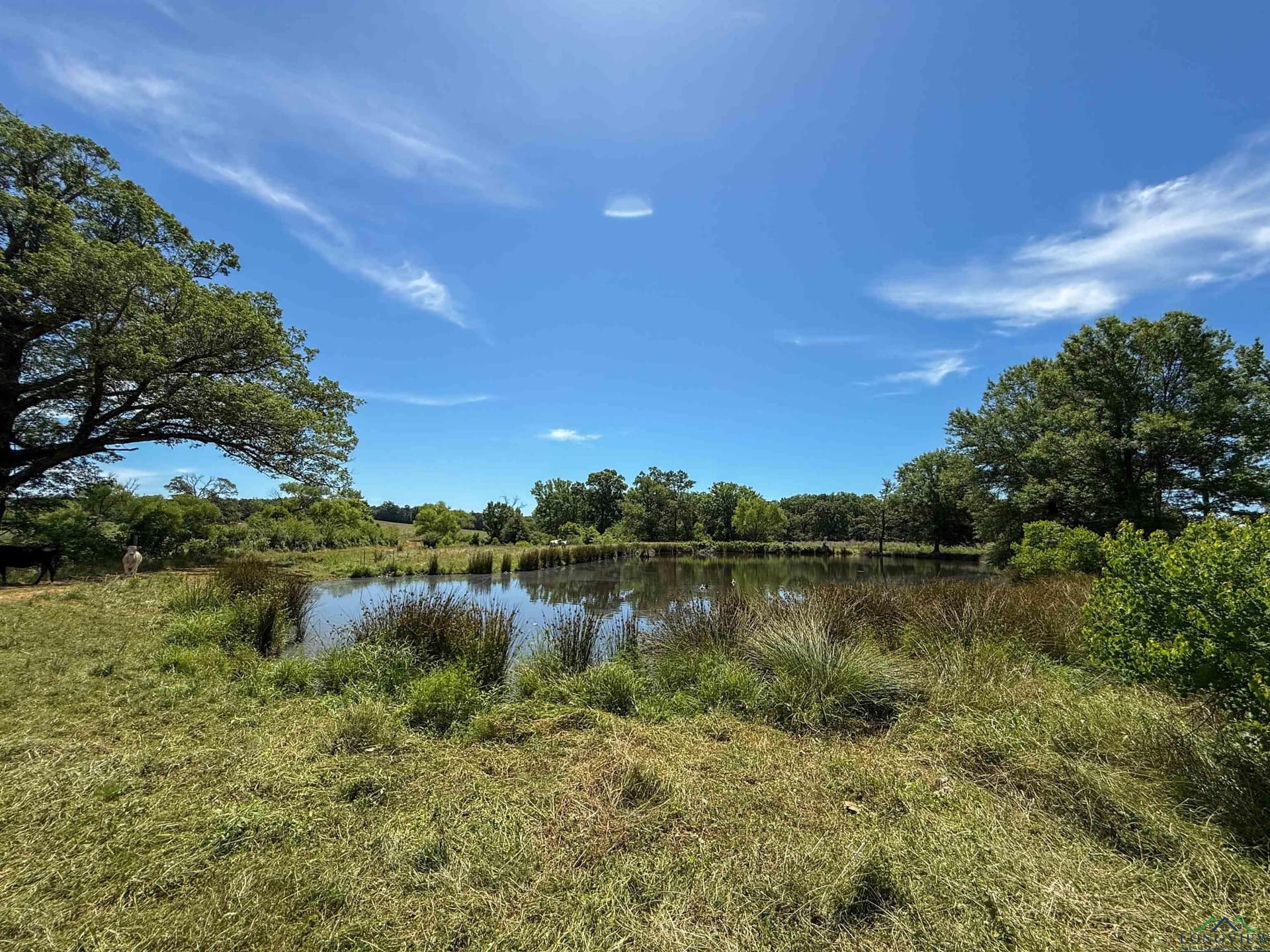 472.49 acres in Cass County - photo 24