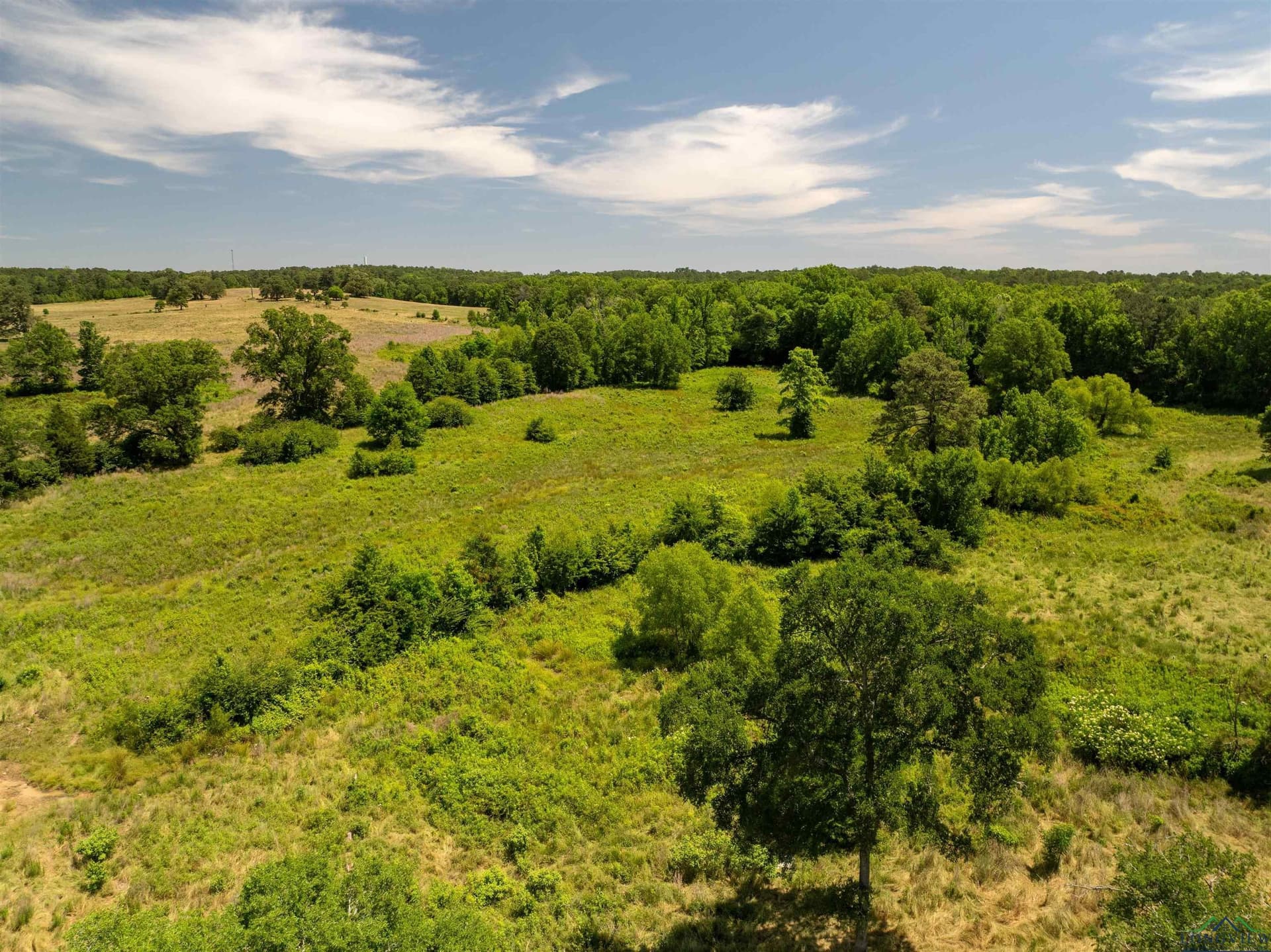 472.49 acres in Cass County - photo 43